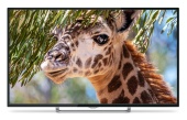 Телевизор LED PolarLine 55" 55PU11TC-SM черный 4K Ultra HD 60Hz DVB-T DVB-T2 DVB-C DVB-S2 USB WiFi Smart TV (RUS)