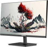 Монитор RDW Computers 23.8" RDW2401K черный IPS 4ms 16:9 HDMI M/M матовая HAS Piv 1200:1 300cd 178гр/178гр 1920x1080 100Hz VGA DP FHD 1.7кг (RUS)